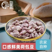 Jianning Princess Poiced Beans Large Grain Fresh Farmhouse Flower Beans Zebra Beans Kidney Beans Grain 500g