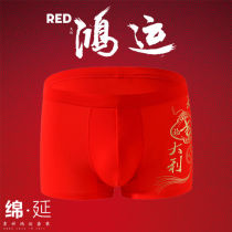 The year of the big red festive mens underwear in the year of the Ox the size of the wedding pants mens boxers