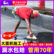 Roof project waterproof roof exterior wall oily polyurethane roof crack water leakage asphalt material glue plugging King King