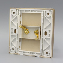 Champagne gold Type 86 one audio socket panel double head 2 hole speaker 5 1 surround audio socket