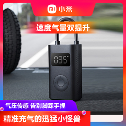 Xiaomi's Inflatable Bao 1S Electric Inflatable Pump Vehicle Tire Pump Car Tire Pump