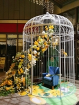 Iron decoration extra-large bird cage decoration shopping mall wedding props bird cage Leisure outdoor large large bird cage