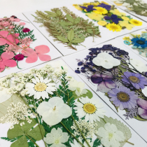 Dried flower bag floral material bag childrens handmade DIY parent-child stickers net red petal makeup shooting photo press flower bag leaves