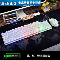 KM320 wired Gaming Keyboard Mouse set suspended luminous USB computer laptop keyboard