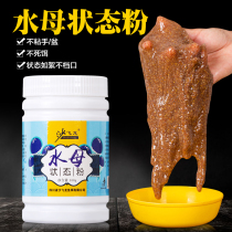 Shafeilong jellyfish State powder bottled brushed powder water pull bait wild fishing fish bait red insect net tackifier