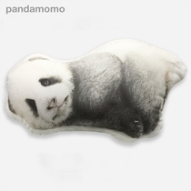 Pandamomo original giant panda shaped pillow into real