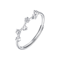 (China Gold) PT950 platinum ring Star River platinum ring female jewelry female jewelry minority ins