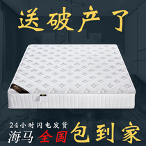 Seahorse childrens mattress Simmons top ten brands 20cm thick household latex coconut brown 1 5 meters 1 8 independent springs