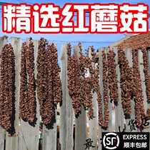 Wild red mushroom Pine mushroom Dried Northeast meat mushroom Red pine umbrella Premium pine umbrella 500g pine mushroom
