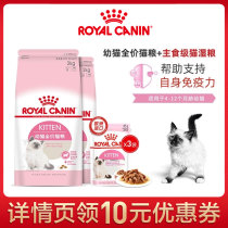Royal Cat Food Kitten food Cat milk cake nutrition Pet cat food K36 2KG*2 Wet cat food*3