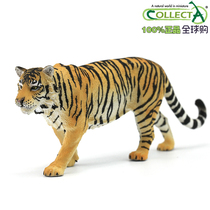 British CollectA me you he original genuine simulation wildlife model 88789 Siberian Tiger Tiger