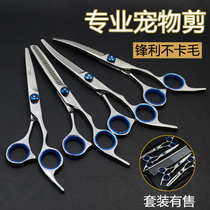 Pet scissors dog scissors set teddy dog beauty tool set decoration wool scissors set straight scissors