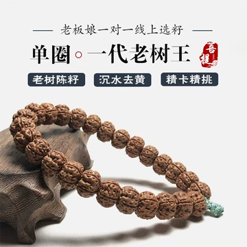 【収蔵級】文玩 形揃い 一代龍金剛菩提108念珠 10mm 极品一代盘龙小金刚 一代盘龙小金刚-一代盘龙小金刚促销价格、一代盘龙小金刚品牌- 淘宝