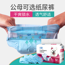 Pet and dog pants Teddy diapers for male dog Bitch special menstrual pants aunt pants sanitary napkins