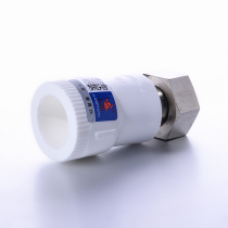 Tianyi Jinniu ppr direct live water heater water meter water purifier 4 points hot water pipe ppr pipe fitting joint