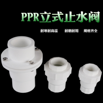 PPR vertical check valve 4 fen 6 is divided into 1 inch PPR check valve 20 25 32 40 50 63PPR check valve