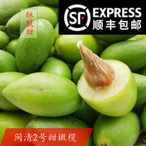 Fujian specialty Minqing sweet olive fresh No. 2 sweet sandalwood green fruit raw fruit two tips are now picked