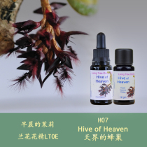 H07 Heavens hive The fine energy of the nourishment of the British LTOE orchid flower essence liquid particles