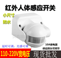 110v-220V wide voltage spherical curtain wide-angle infrared human body waterproof sensor switch and microwave radar