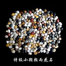 Natural 5 Jin Yuhua Stone Foot Potted Color Massage Decoration Gardening Meat Massage Stone Pebble Bucket Stone Stone Stone