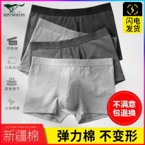  Seven wolves mens underwear mens pure cotton boxer shorts summer antibacterial thin pants boys loose four-sided shorts head