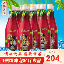 Tang Pinxuan sour plum cream whole box 12 bottles of Shaanxi specialty concentrated sour plum soup black plum juice brewing milk tea catering commercial