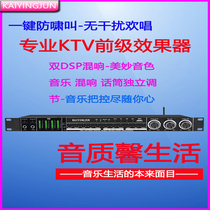  Professional pre-stage effect KTV microphone anti-howling with Bluetooth audio processor Stage k song home dual reverb