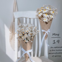 ins small fresh small daisy dried flower bouquet hanging wall decoration flower arrangement ornaments giving gifts Wenxinlan Ludan bird