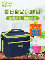Outdoor ice bag Ice bag Insulation bag lunch box Bento bag takeaway insulation box Insulation bag Fresh refrigerated food with rice