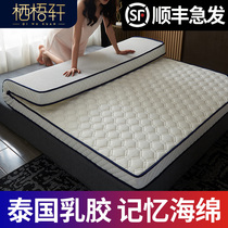 Latex cushion renting special thick mattress single student dormitory mattress memory cotton tatami sponge mat