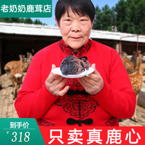 Old woman Jilin plum real deer heart nourishing heart powder fresh and pure 150 grams of real deer heart blood powder a months amount