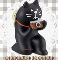 decole concombre holding camera black cat guarantee genuine