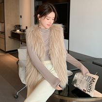 Raccoon fur fur vest womens short car vest Haining fur coat 2021 new young fashion