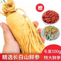 Changbai Mountain ginseng 8 years a catty gross weight 500 CTE large fresh wine fresh wine fresh ginseng non-white ginseng