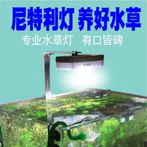 Nitelli Aquatic Light Downlight with remote control adjustable light at3 bracket LED full spectrum at2 fish tank grass tank chandelier