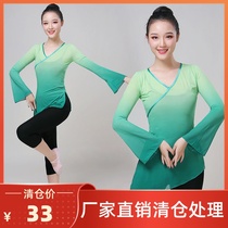 National dance body rhyme dance yarn clothes Classical dance practice clothes Female adult body mesh dance clothing practice tops