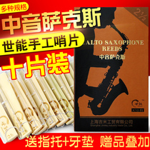 Sheng Neng E Alto Saxophone Sentinel 2 0 2 5 3 0 10 pieces of domestic independent packaging Sentinel accessories