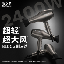 Fire Phoenix hair dryer hair salon dedicated high-power barber shop hair stylist mens official flagship 5610H
