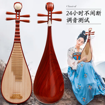 Pipa musical instrument beginner mahogany red rosewood professional exam performance Adult beginner introduction Rosewood musical instrument