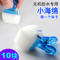 Brush inorganic glue special small sponge 10 pieces with a small clip