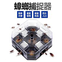 Cockroach insect house chu zhang lang nemesis household capture insect cockroach cockroach cockroach methyl zha the cartridge-kill