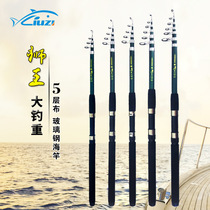 Lion King short-term sea pole super hard throwing rod anchor Rod ultra-light long-range special fishing rod fishing gear