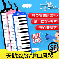 Swan mouth organ 32 37 keys Black Blue Pink children student beginner teacher recommends professional performance blowing