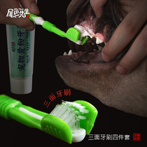 Mr Tail toothbrush toothpaste set Tooth stains in addition to bad breath Dog pet cat Teddy teeth cleaning teeth Edible