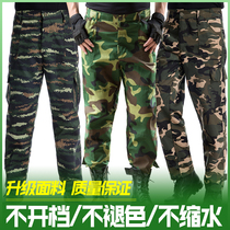 Camouflage overalls mens outdoor loose wear-resistant breathable labor insurance pants spring and summer military training long pants