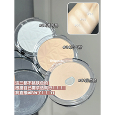 Порох в брикетах