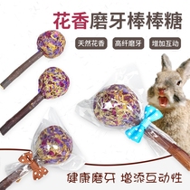 (Small Darling snacks) Long cat guinea pig rabbit floral tooth stick candy 1 root with crisp and tasty 2-send 1