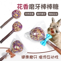 (Small Darling snacks) Long cat guinea pig rabbit floral tooth stick candy 1 root with crisp and tasty 2-send 1