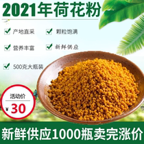 Fresh Lotus pollen 2021 edible pure natural bee pollen farmer home-made lotus powder female 500g