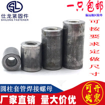 Iron color cylindrical nut Screw screw link Extension nut Welding round nut Casing nut M4-M18